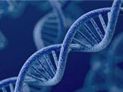 Phát hiện ba đột biến gene mới gây dị tật dính ngón tay chân ở trẻ
